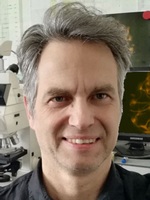 Dr. Bj&ouml;rn Holstein